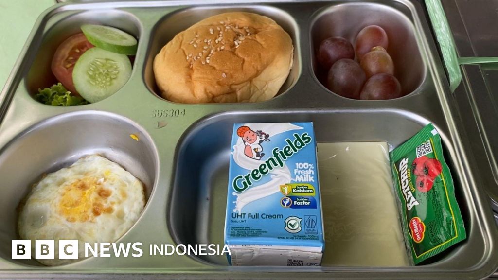 Mengapa MBG untuk balita dan ibu hamil dikritik ahli gizi?