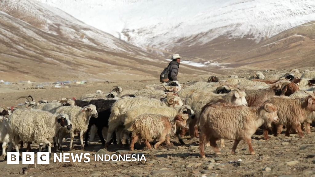 Milijarde dolarjev vreden projekt sončne elektrarne na zgražanje pastirjev v Himalaji