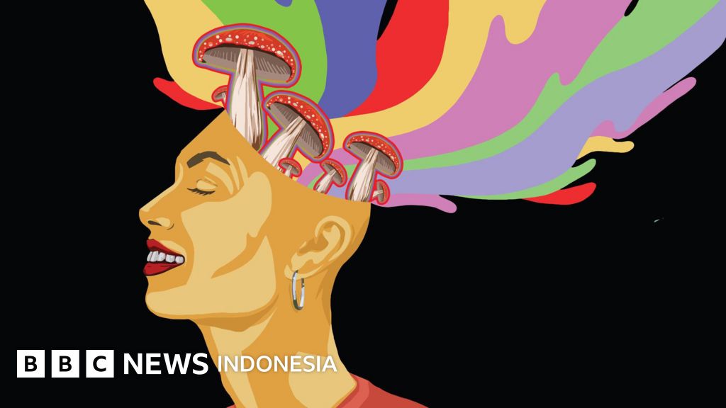 Skrivnostna goba, ki vam omogoča, da vidite ljudi, je velika kot steklenica vetrnega olja