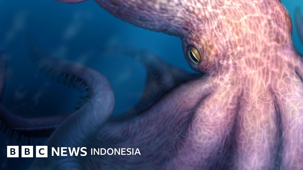 Znanost: Velike hobotnice so nekoč v starih časih vladale oceanom