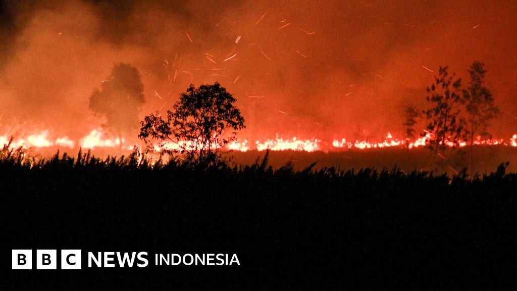 Karhutla membara di lahan gambut Kalimantan Tengah, sengaja dibakar?
