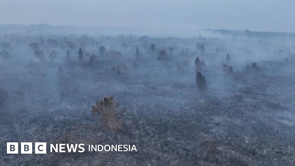 Lingkungan: Karhutla Jambi berulang – Apa andil perusahaan?
