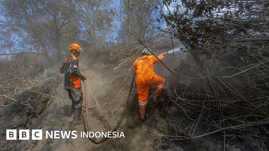 Karhutla di Bromo memakan korban – Bagaimana prosedur dan komando pemadaman semestinya?
